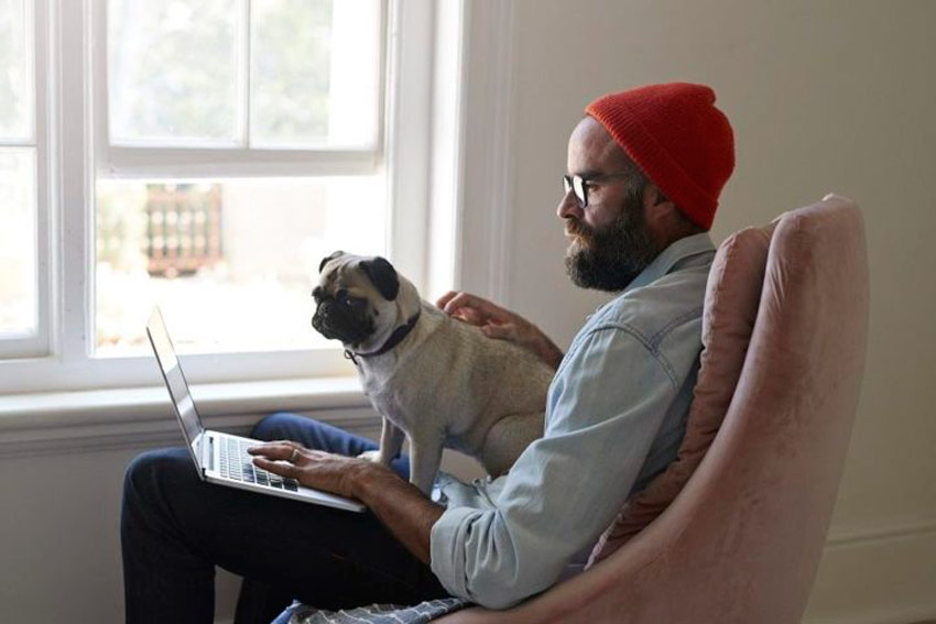sustentabilidade sustentabilidade Home office: o que é, como fazer e boas práticas para render em casa